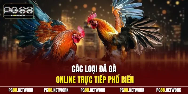 Các loại đá gà online trực tiếp phổ biến