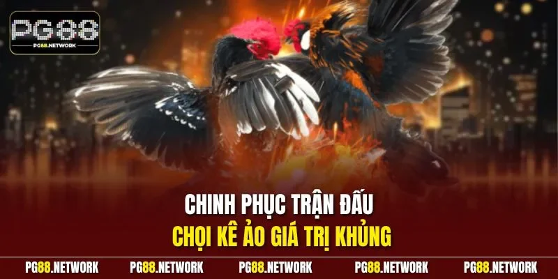 Chinh phục trận đấu chọi kê ảo giá trị khủng