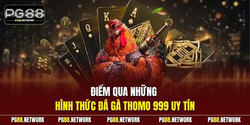 Điểm qua những hình thức đá gà thomo 999 uy tín