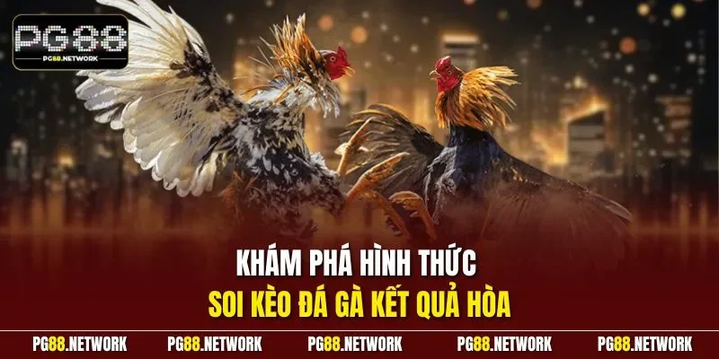 Khám phá hình thức soi kèo đá gà kết quả hòa