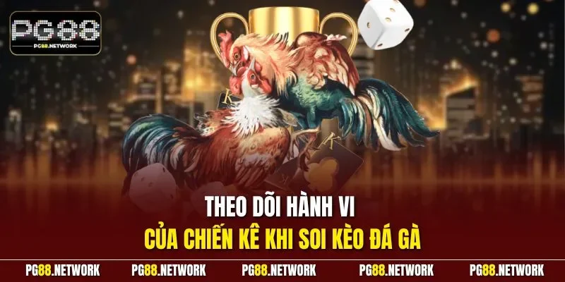 Theo dõi hành vi của chiến kê khi soi kèo đá gà