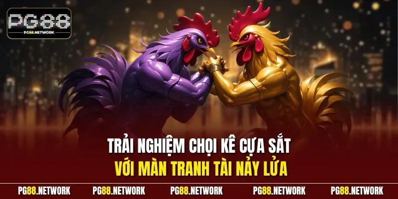 Trải nghiệm chọi kê cựa sắt với màn tranh tài nảy lửa