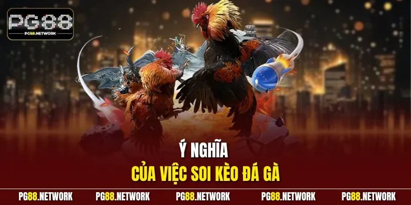Ý nghĩa của việc soi kèo đá gà